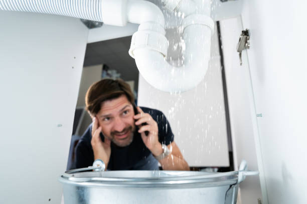 Best Plumbing Services Near Me  in White Hall, IL